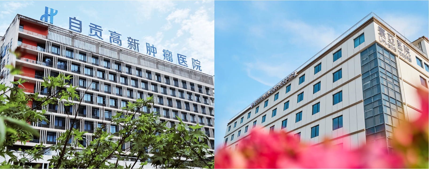 zigong campus