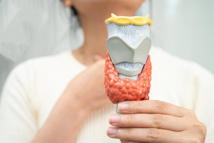 thyroid